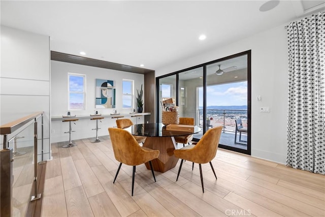 dining room featuring light hardwood / wood-style flooring