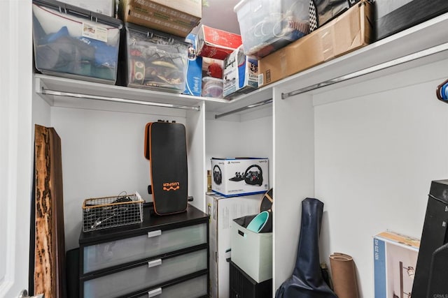 view of walk in closet