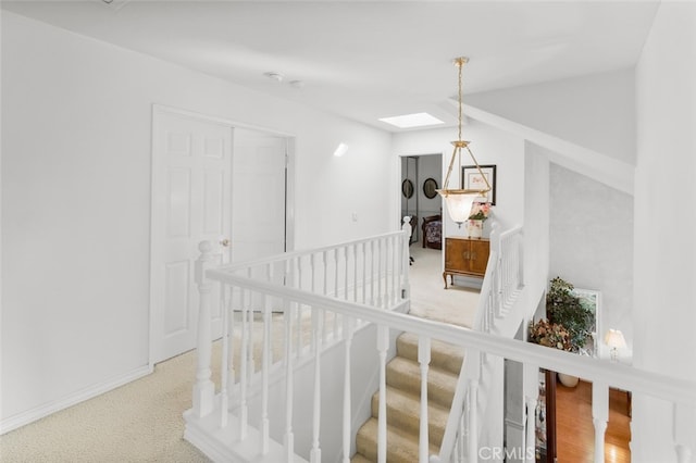 hallway featuring carpet and a skylight