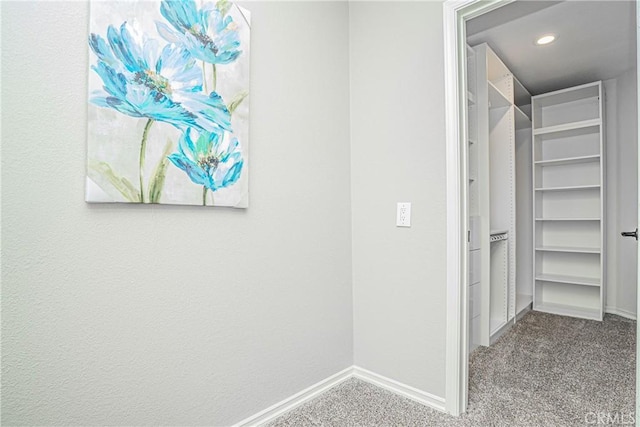 spacious closet featuring carpet floors