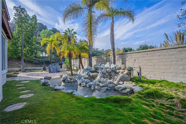 view of yard with a patio