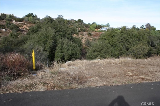 35535 Trabuco Rd, Lake Elsinore, CA 92530 - photo 10