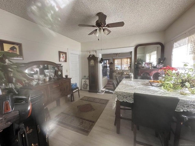 dining room with ceiling fan, a textured ceiling, light hardwood / wood-style flooring, and a healthy amount of sunlight