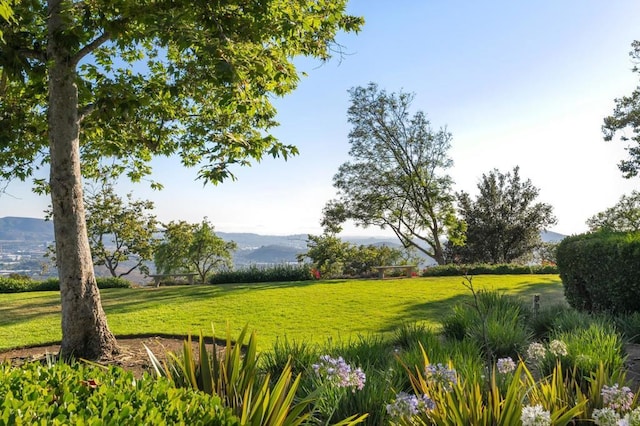 view of community featuring a mountain view and a lawn