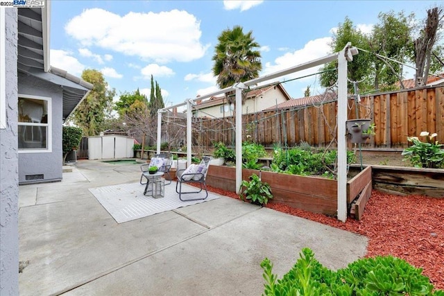 view of patio / terrace with a shed