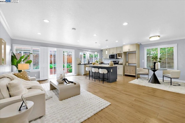 living room featuring ornamental molding and light hardwood / wood-style floors