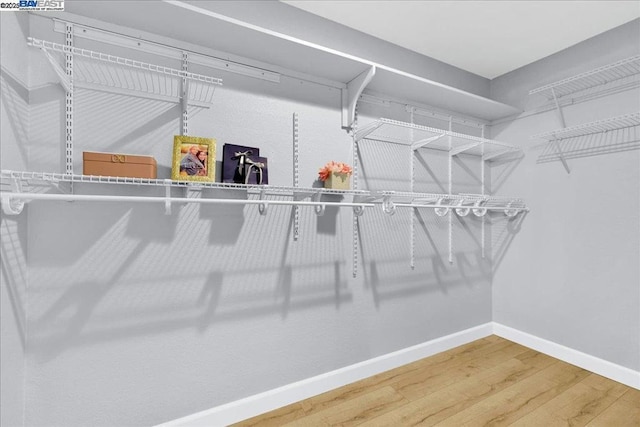 walk in closet featuring wood-type flooring