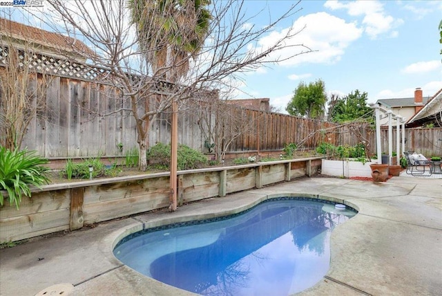 view of pool featuring a patio