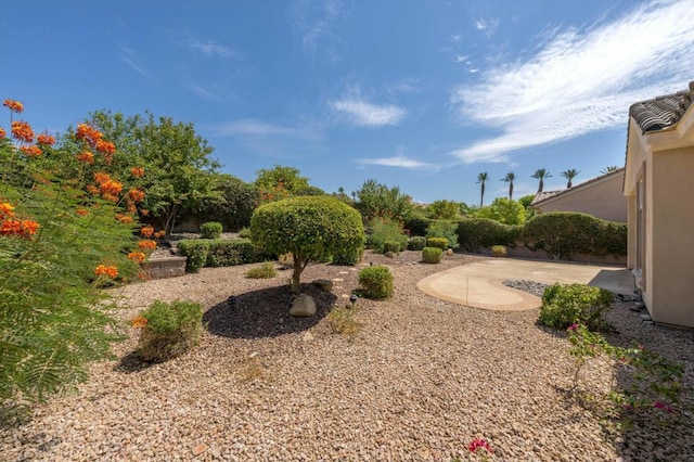 view of yard featuring a patio