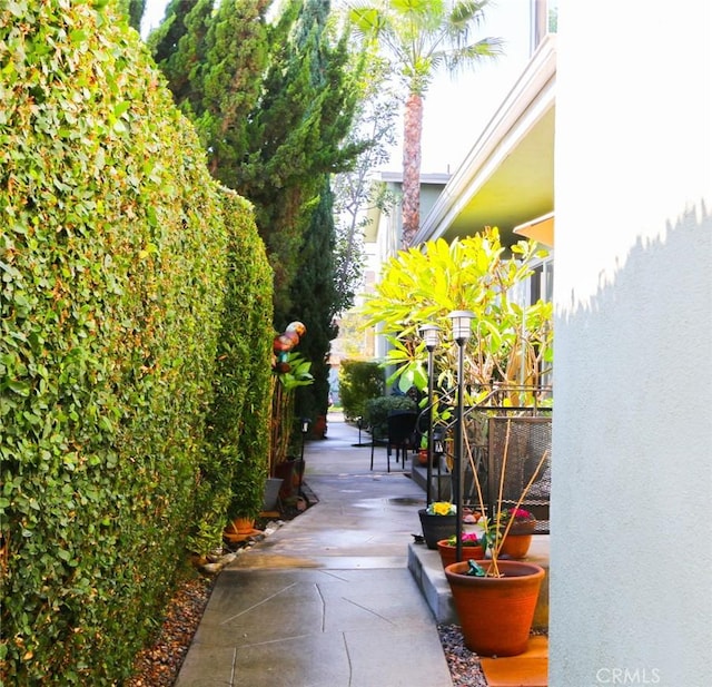 view of property's community with a patio area