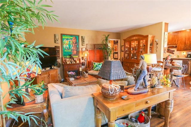 living room with wood-type flooring