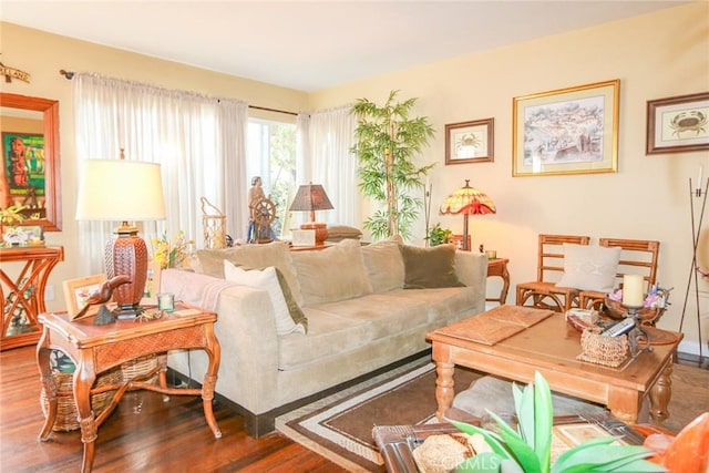 living room featuring wood-type flooring