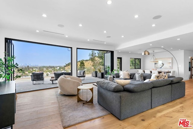 living room with light wood-type flooring