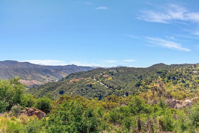 view of mountain feature