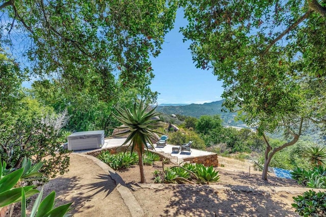 view of yard with a patio area and a mountain view