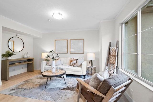 living room with crown molding and light hardwood / wood-style flooring