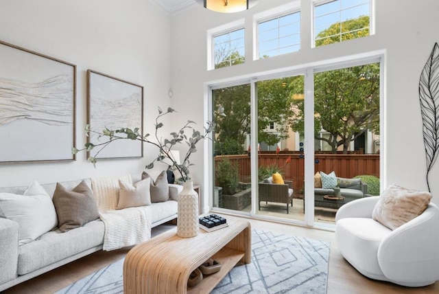 living room featuring hardwood / wood-style flooring and a towering ceiling