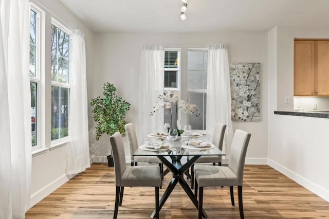 dining room with light hardwood / wood-style floors