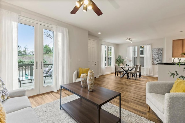 living room featuring light hardwood / wood-style flooring and french doors