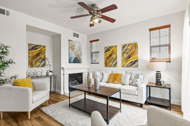 living room with ceiling fan, wood-type flooring, and a wealth of natural light