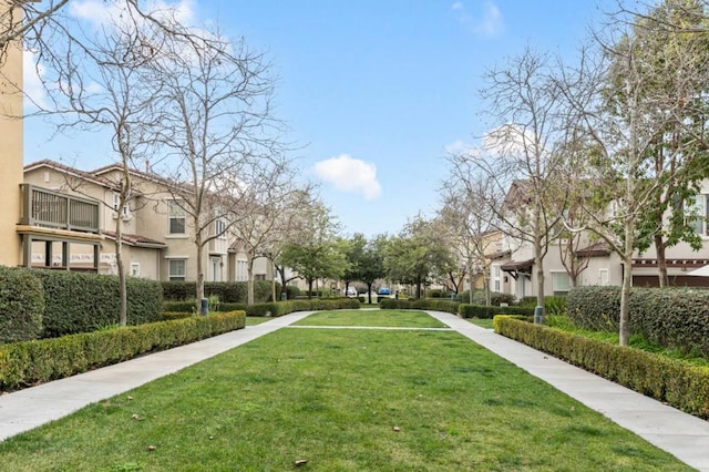 view of community with a yard