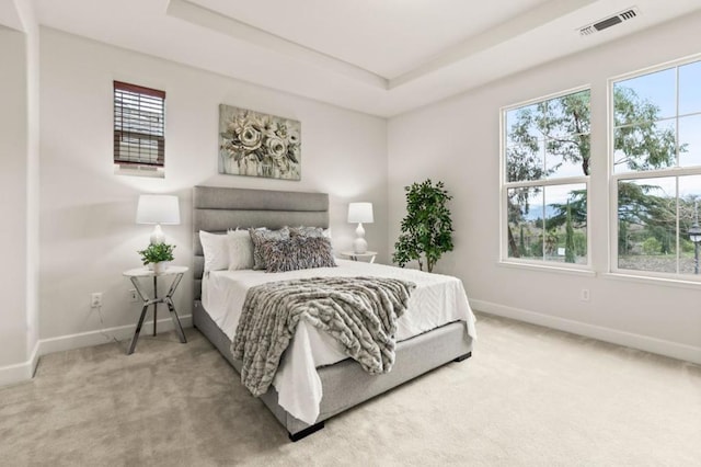 carpeted bedroom featuring a raised ceiling