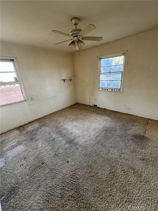 unfurnished room featuring ceiling fan and carpet flooring