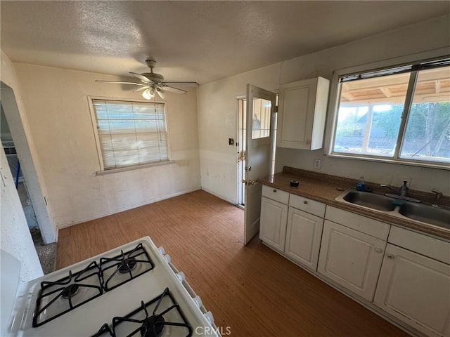 kitchen featuring white cabinetry, sink, ceiling fan, a textured ceiling, and light hardwood / wood-style flooring