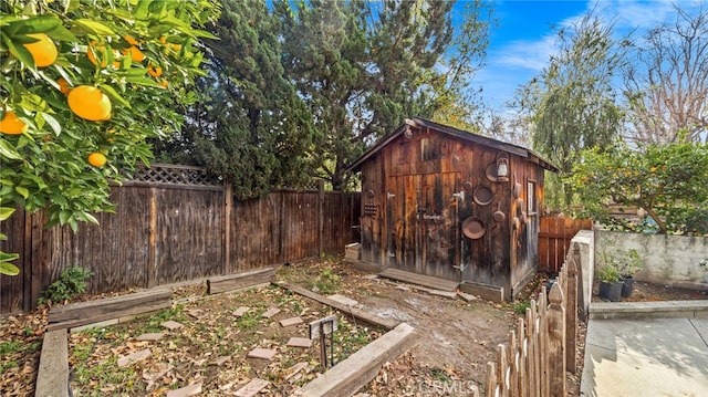 view of yard with a shed