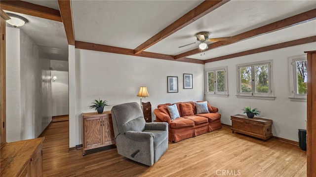 living room featuring beam ceiling, ceiling fan, and light hardwood / wood-style floors