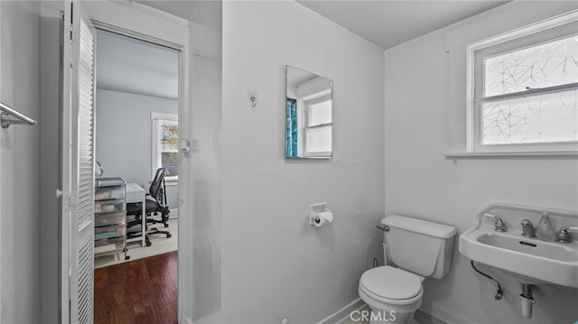 bathroom with hardwood / wood-style flooring, sink, and toilet