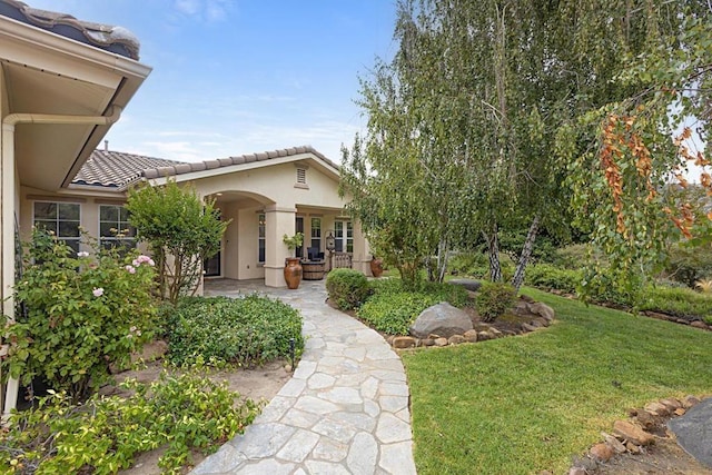 view of yard featuring a patio