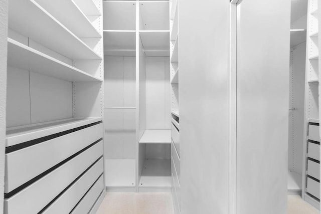 view of walk in closet