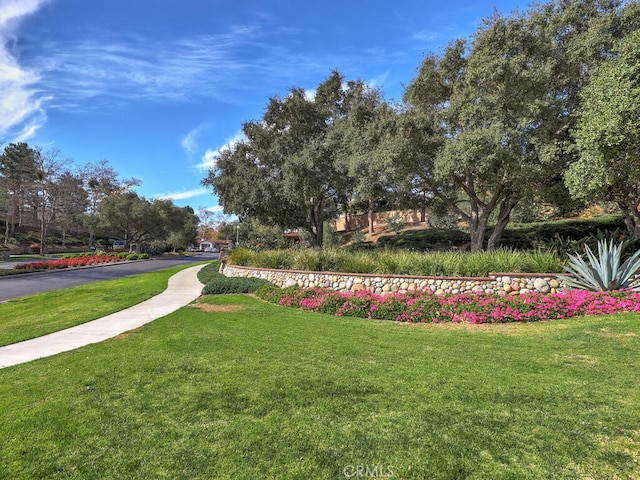 view of community featuring a lawn