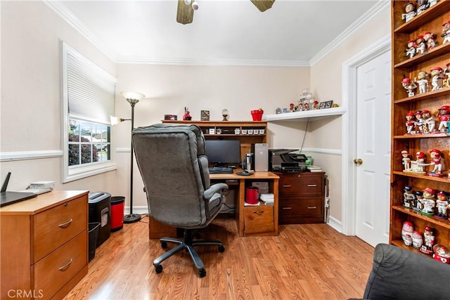 office featuring light hardwood / wood-style floors and ornamental molding