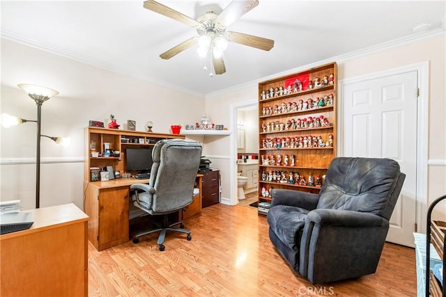 home office with ornamental molding, light hardwood / wood-style flooring, and ceiling fan