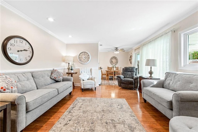 living room featuring ceiling fan, hardwood / wood-style flooring, and crown molding