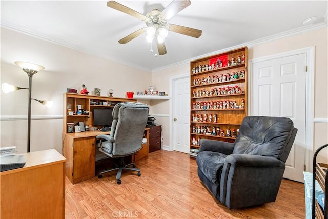 office space featuring light hardwood / wood-style flooring, ceiling fan, and ornamental molding