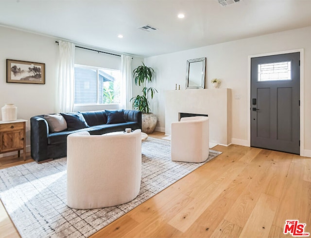 living room with a premium fireplace and light hardwood / wood-style flooring