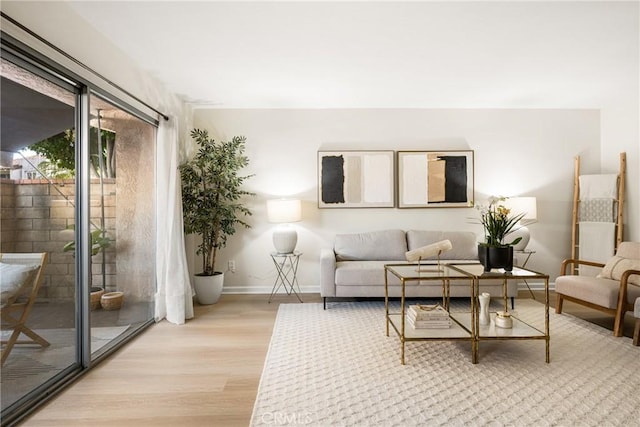 living room with light wood-type flooring