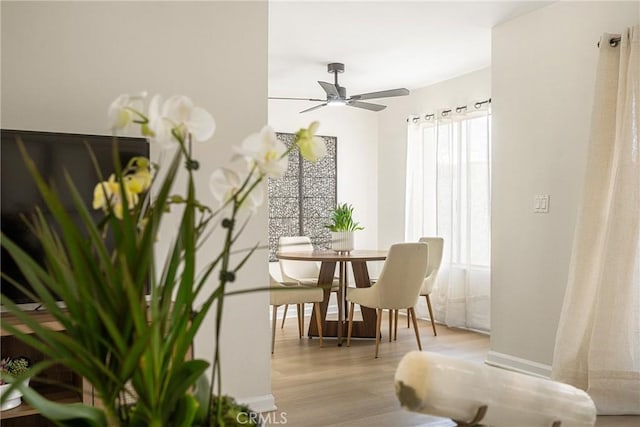 dining area with light hardwood / wood-style flooring and ceiling fan