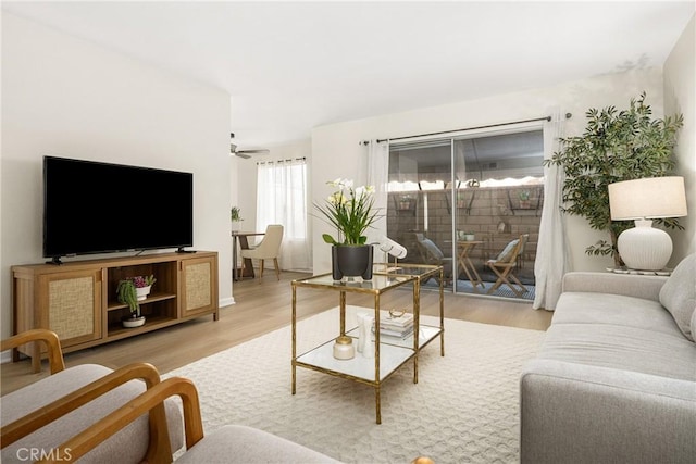 living room with light hardwood / wood-style floors