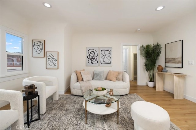 living room with hardwood / wood-style floors