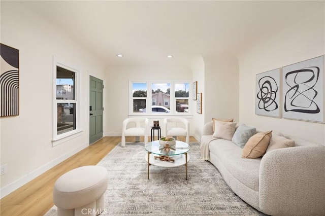 living room with wood-type flooring