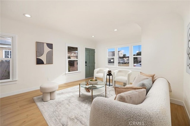 living room with wood-type flooring and a wealth of natural light