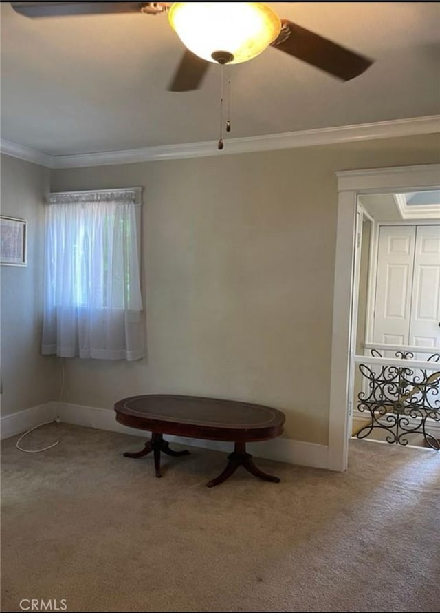 interior space with ornamental molding, ceiling fan, and carpet