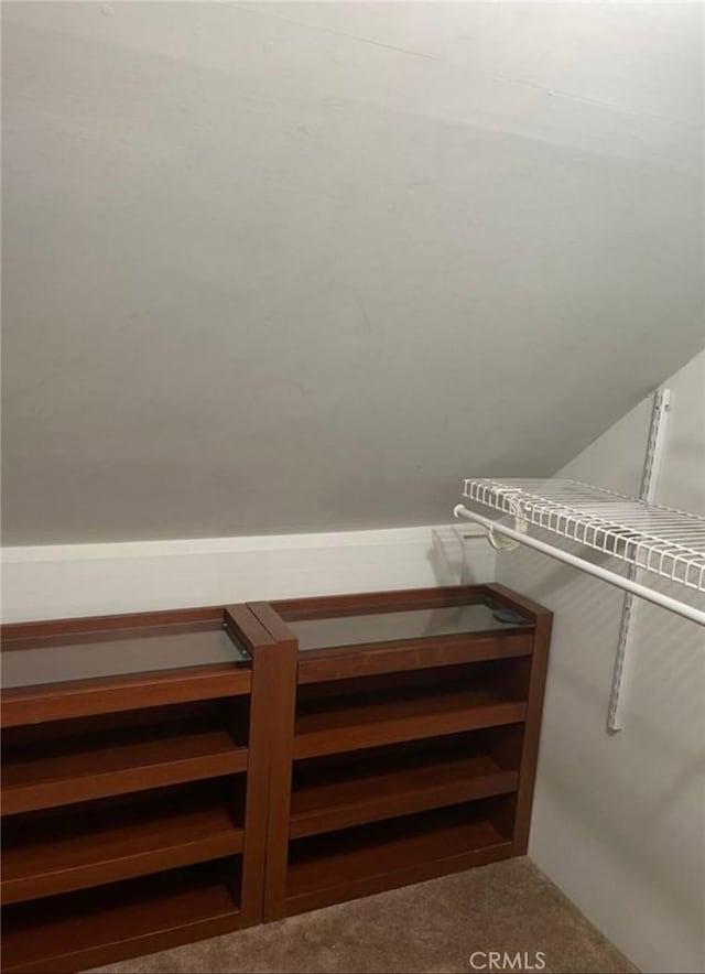 spacious closet featuring carpet flooring