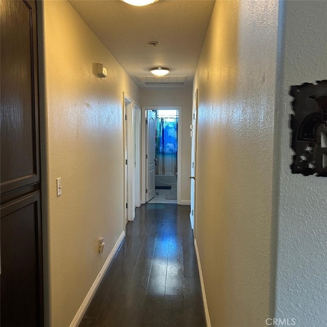 hallway featuring dark hardwood / wood-style flooring