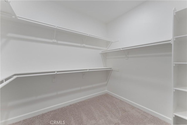 walk in closet with carpet