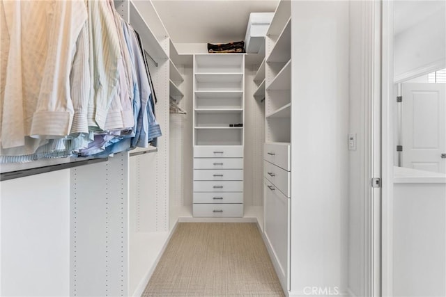 view of walk in closet